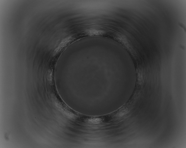 X0000101410357200807141136