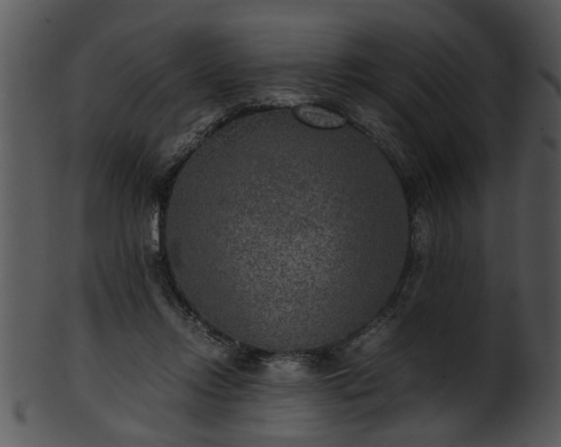 X0000101410358200807141136