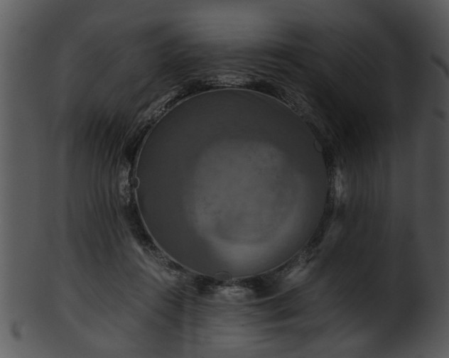 X0000101410360200807141136