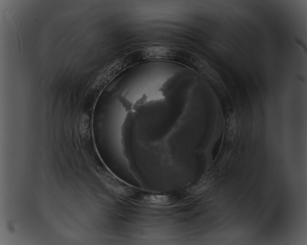 X0000101410361200807141136