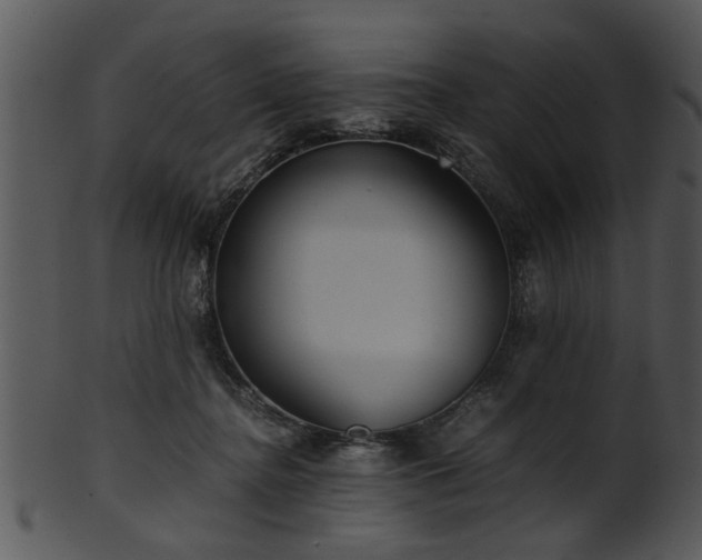 X0000101410364200807141136