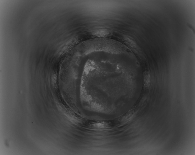 X0000101410365200807141136