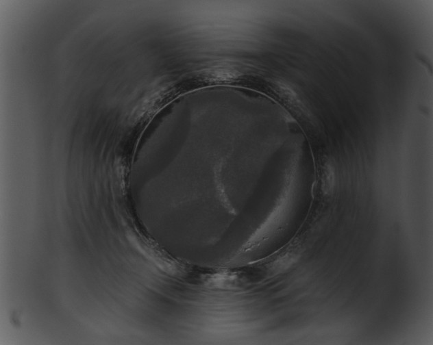 X0000101410366200807141137