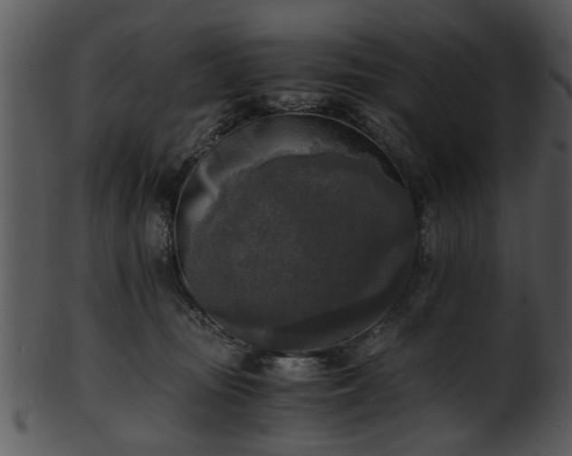 X0000101410371200807141137