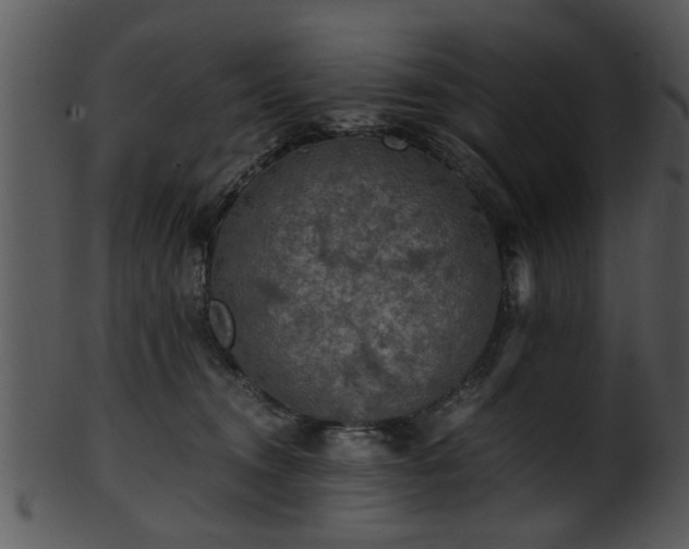X0000101410372200807141137