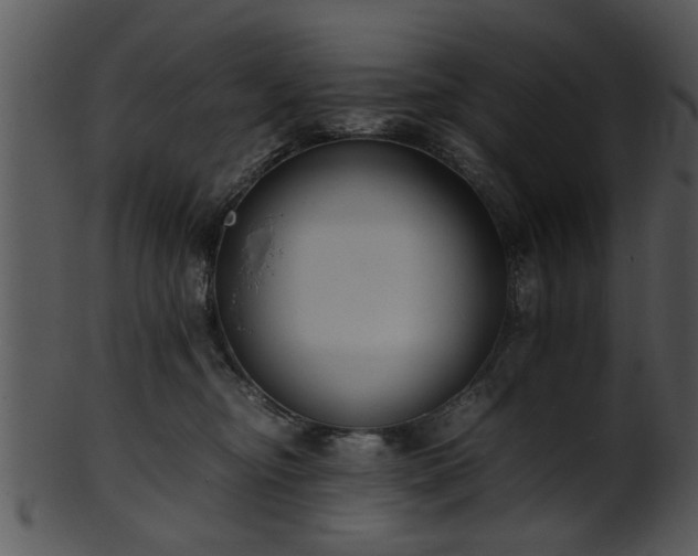 X0000101410374200807141137