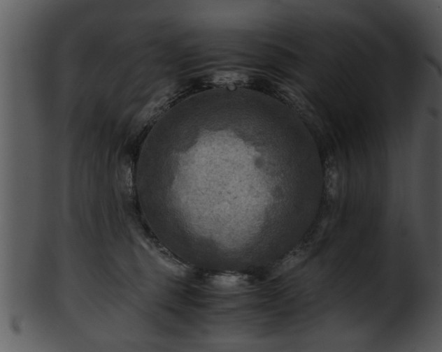 X0000101410375200807141137