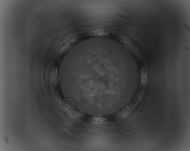 X0000101410376200807141137