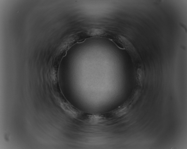 X0000101410380200807141137