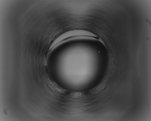 X0000101410384200807141137