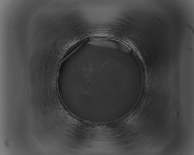 X0000101410385200807141136
