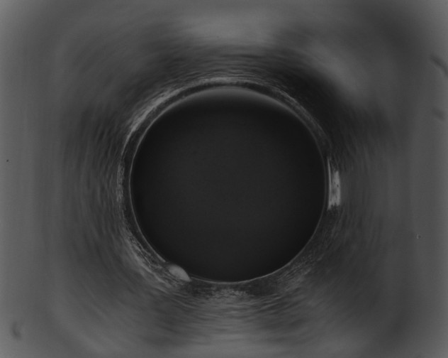 X0000101410387200807141136