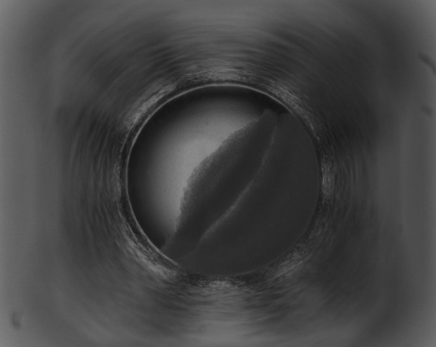 X0000101410390200807141136