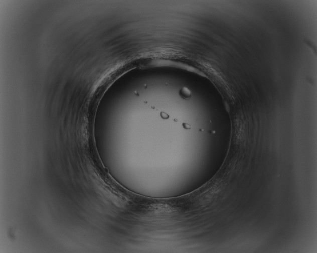 X0000101410392200807141136