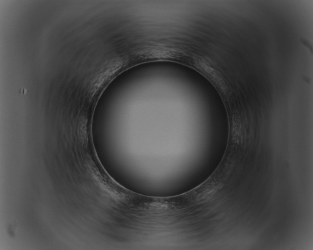 X0000101410394200807141136