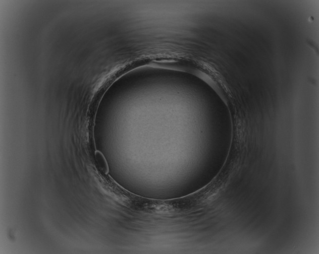 X0000101410395200807141136