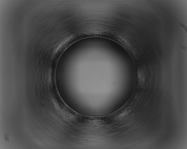 X0000101410396200807141136