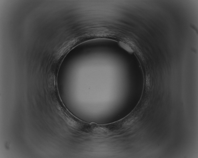 X0000101410397200807141136