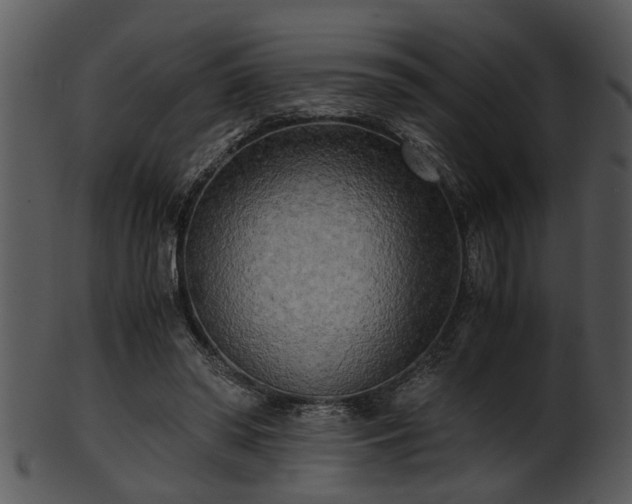 X0000101410398200807141136
