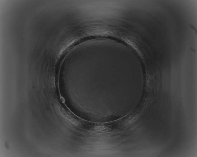 X0000101410399200807141136