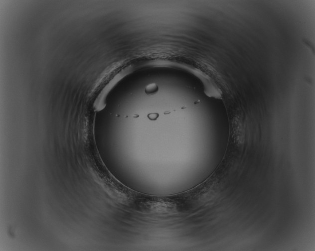 X0000101410400200807141136