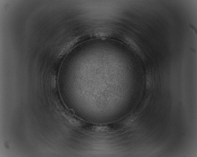 X0000101410401200807141136