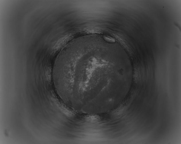 X0000101410402200807141136