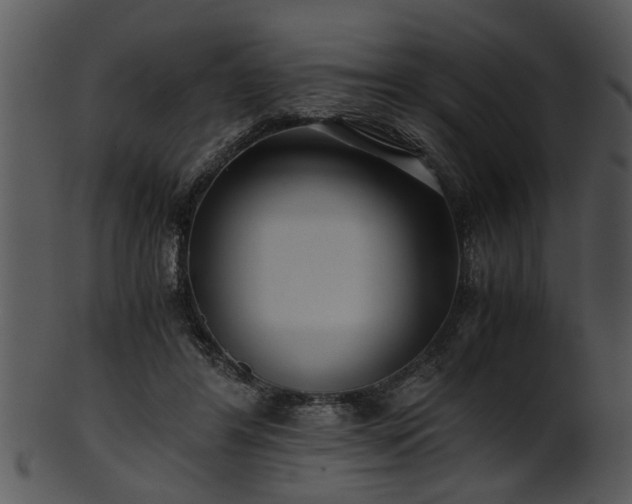 X0000101410404200807141136