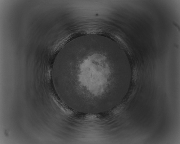X0000101410405200807141136