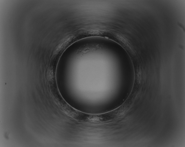 X0000101410407200807141136