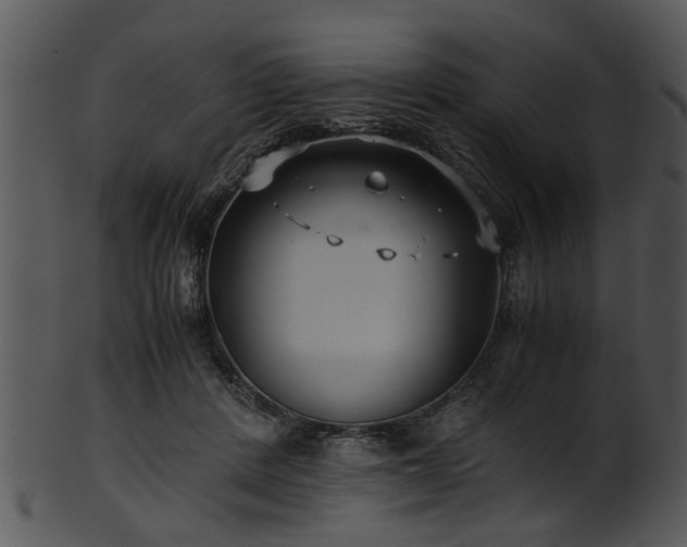 X0000101410408200807141136