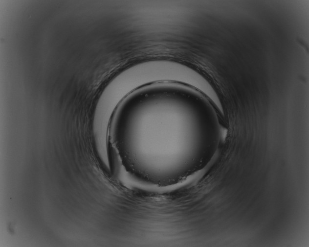 X0000101410411200807141136