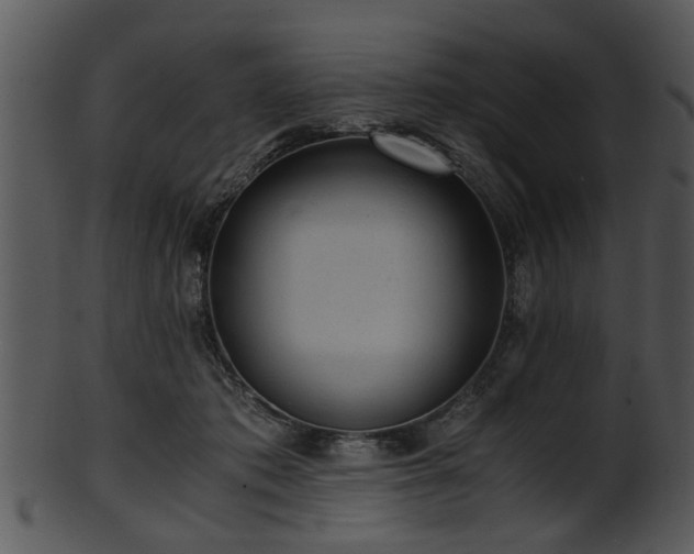X0000101410413200807141136