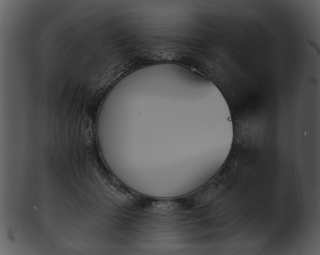 X0000101410414200807141136
