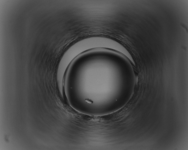 X0000101410415200807141136