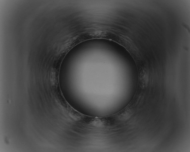 X0000101410416200807141136