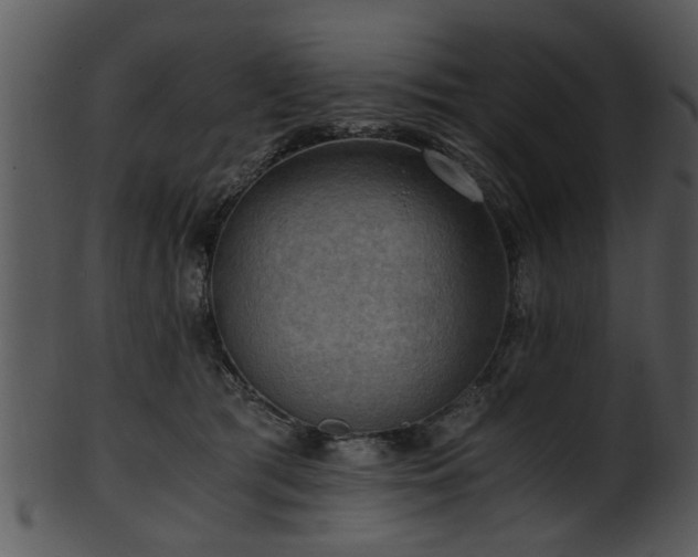 X0000101410417200807141136