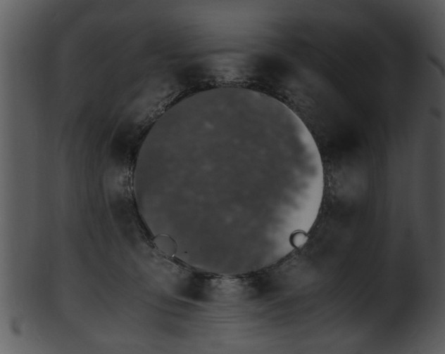 X0000101410419200807141136