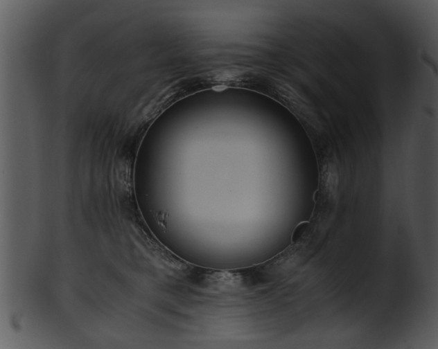 X0000101410421200807141136