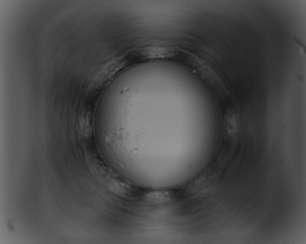 X0000101410422200807141136