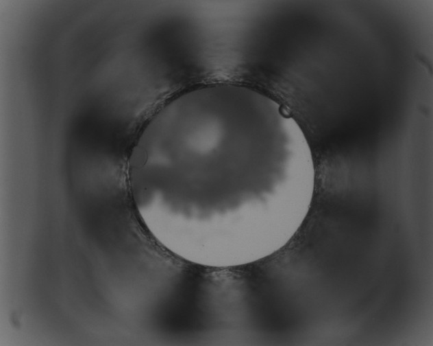 X0000101410423200807141136