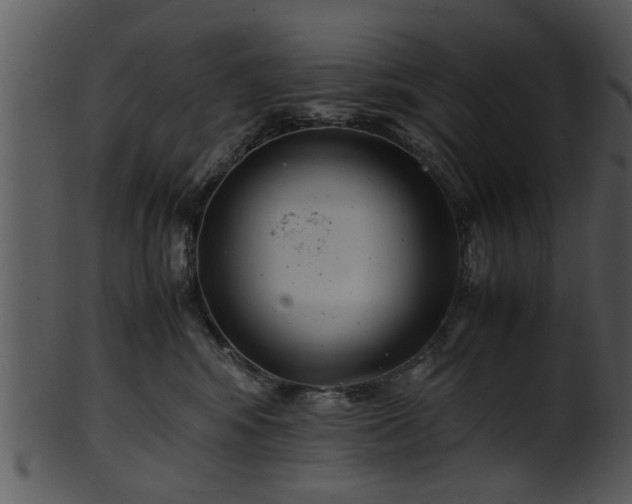 X0000101410424200807141136