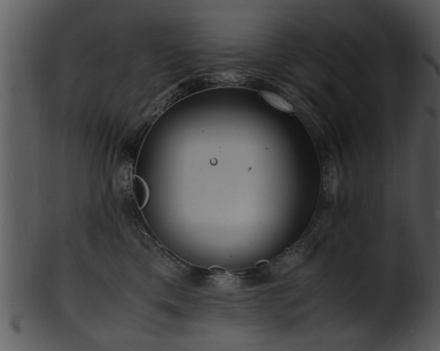 X0000101410425200807141136