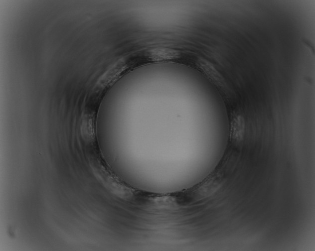 X0000101410426200807141136