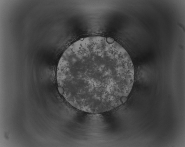 X0000101410427200807141135