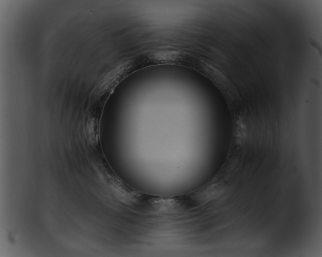 X0000101410428200807141135