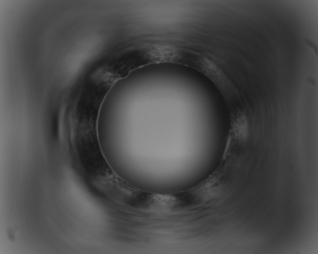 X0000101410429200807141135