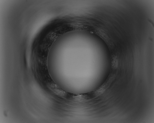 X0000101410430200807141135