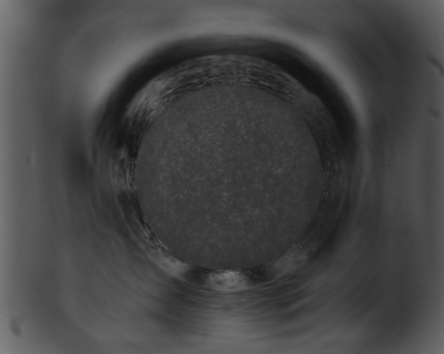 X0000101410431200807141135