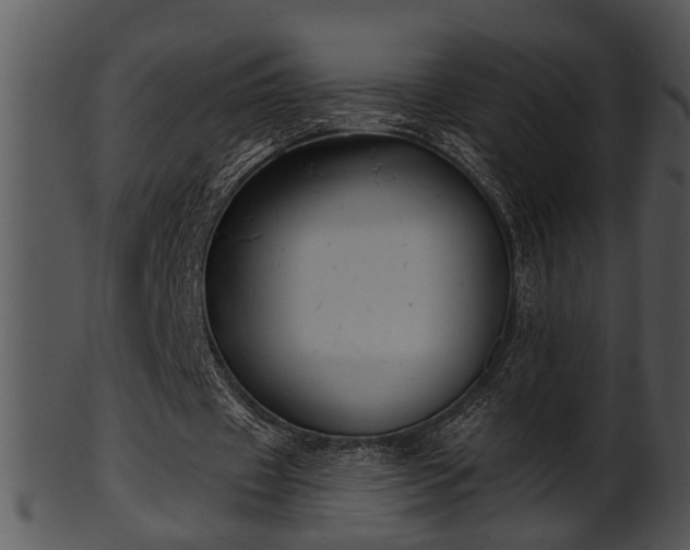 X0000101410433200807141135